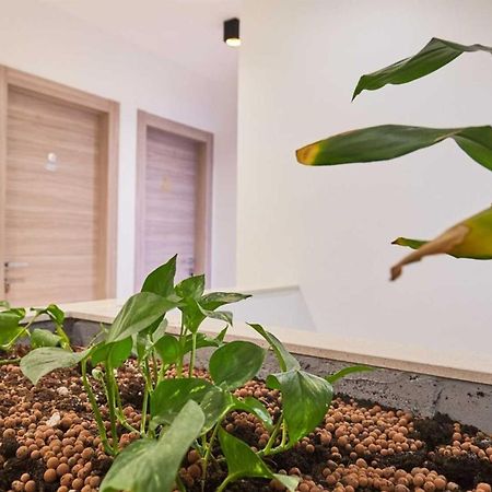 Boutique Garden Rooms Dubrovnik Dış mekan fotoğraf