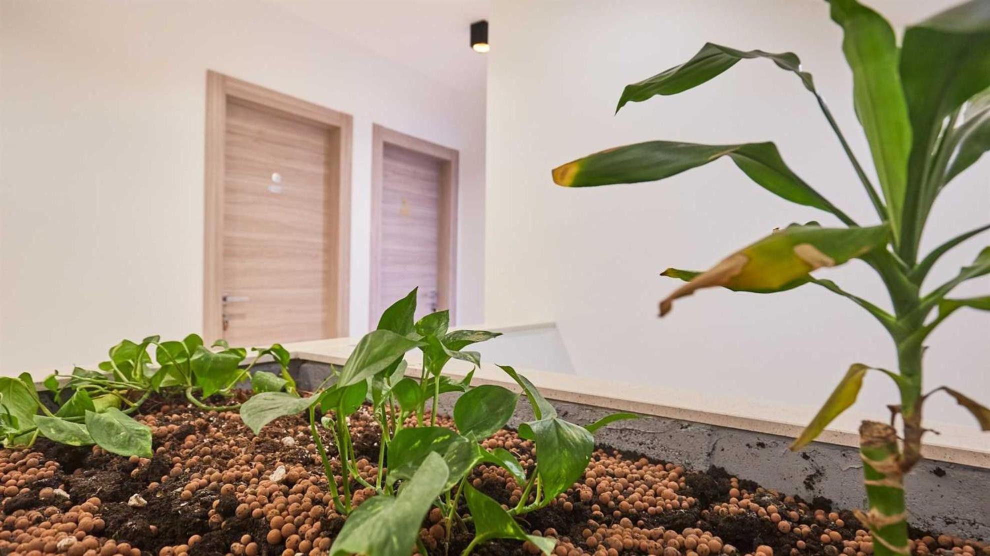 Boutique Garden Rooms Dubrovnik Dış mekan fotoğraf